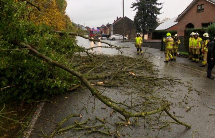 Strade e strade allagate, fognature ostruite: il maltempo provoca un centinaio di interventi in Vallonia e Bruxelles