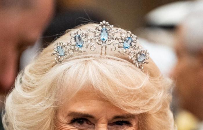 La regina Camilla, splendente al gala del corpo diplomatico con Carlo III e il principe Guglielmo