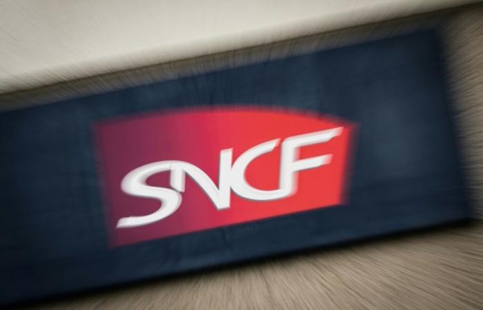 SNCF propone un aumento salariale medio del 2,2% nel 2025 – 20/11/2024 alle 22:07