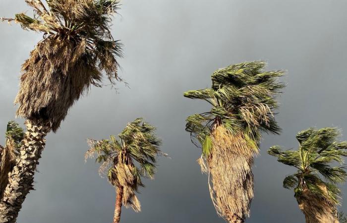 La Corsica è in allerta “vento” arancione questo mercoledì