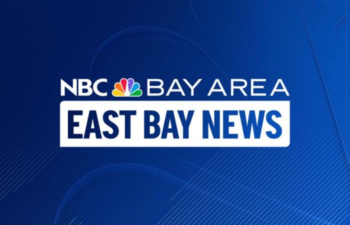 Possibile caso di influenza aviaria segnalato in un bambino nella contea di Alameda – NBC Bay Area