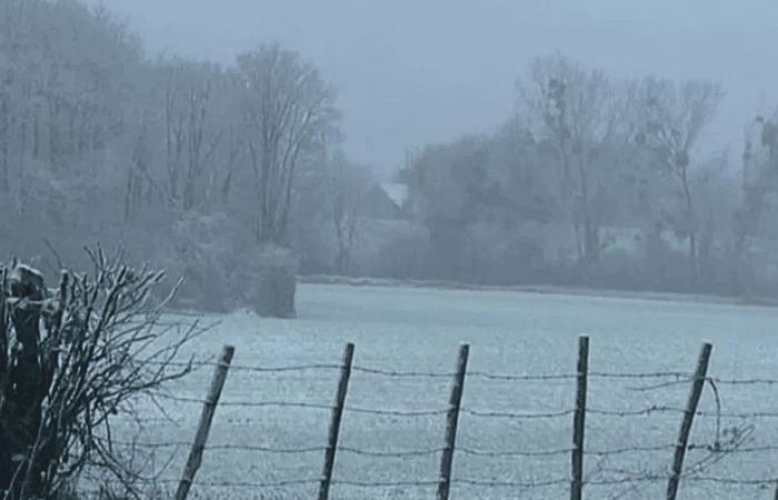 Arriva la neve nella Mayenne, nella Sarthe, nella Loira Atlantica e nel Maine-et-Loire, clima insolito per il mese di novembre