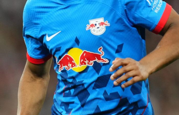 Paris FC – L'arrivo della Red Bull in Ligue 2 è l'ingresso del lupo nell'ovile?