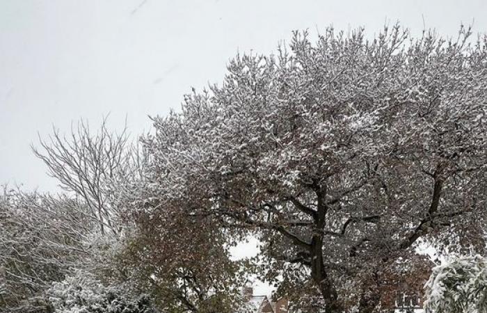 Meteo nel Regno Unito: nuovi avvisi di neve e ghiaccio emessi mentre i meteorologi avvertono di ulteriori disagi ai viaggi | Notizie dal Regno Unito