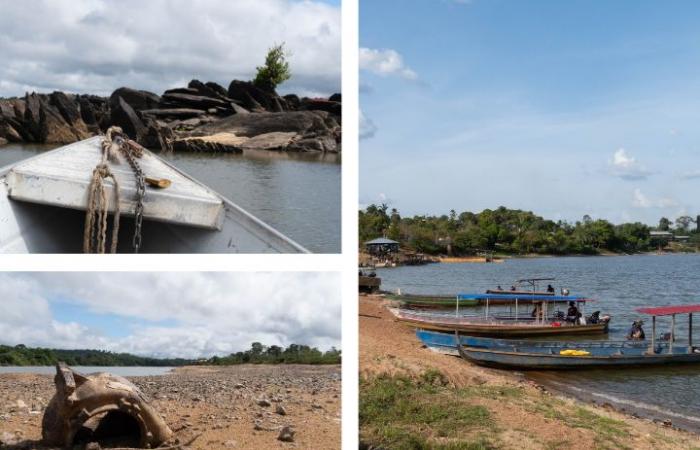 Nel mezzo dell’Amazzonia, una città francese è priva di acqua e cibo a causa dei cambiamenti climatici