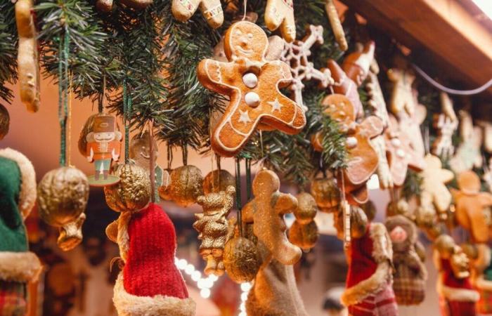 Maine-et-Loire. In questa cittadina all'inizio di dicembre viene allestito un villaggio di Natale