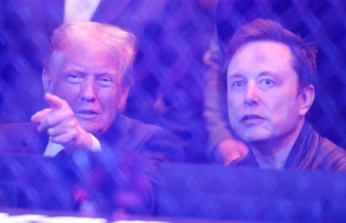 Donald Trump ed Elon Musk invitati in Francia da Emmanuel Macron, nel febbraio 2025: Notizie