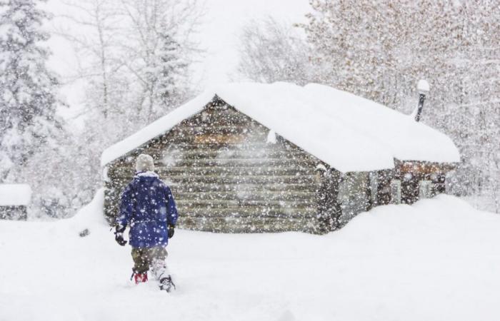 Avvisi meteorologici invernali per 9 stati con quasi 3 piedi di neve da colpire