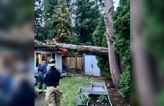 Seattle vede un ciclone di bombe mortali dopo che forti venti hanno lasciato oltre 600.000 persone senza elettricità