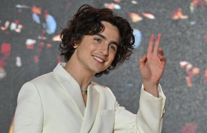 Timothée Chalamet ha rifiutato di vedere i suoi amici o visitatori durante le riprese del film biografico su Bob Dylan