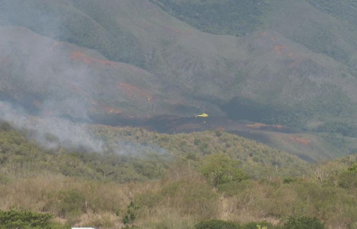 Incendio a Dumbéa vicino a Fayard Park, bruciati una quindicina di ettari