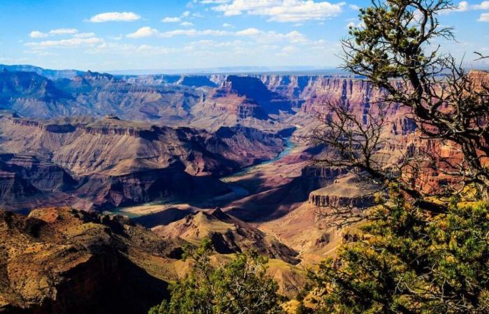 Questa scoperta nel Grand Canyon potrebbe riscrivere la storia dell'esplosione del Cambriano