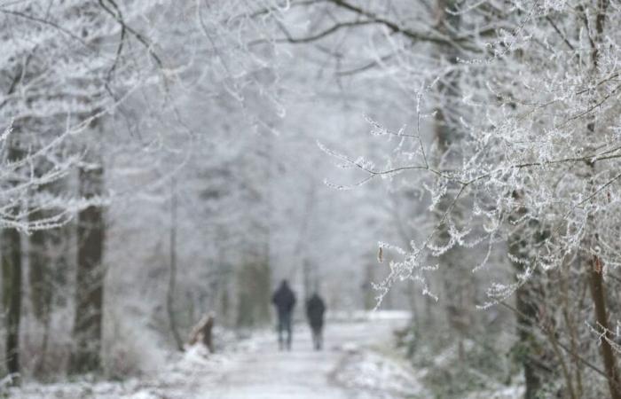 Il nuovo inizio dell’inverno sta causando neve fresca in questa zona