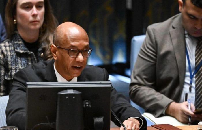 davanti al Consiglio di Sicurezza dell’ONU, gli Stati Uniti pongono il veto al cessate il fuoco a Gaza