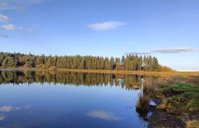 Questo lago del Puy-de-Dôme, apprezzato dagli escursionisti, è oggetto di importanti lavori