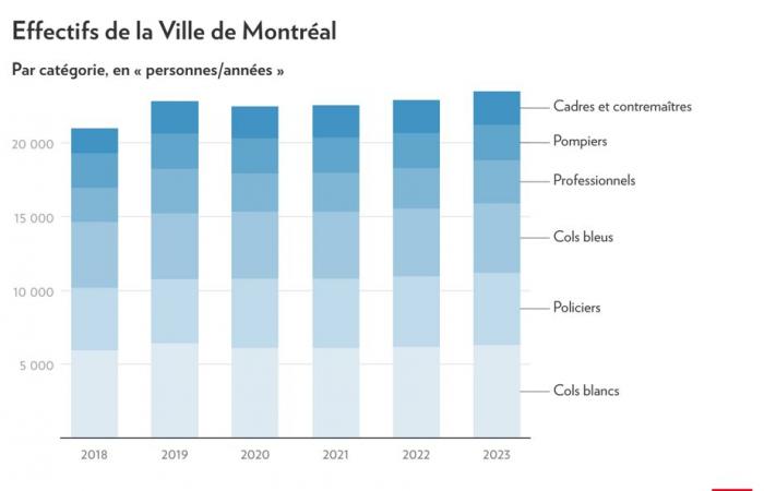 Bilancio di Montreal 2025 | Gli anni Plante in cifre