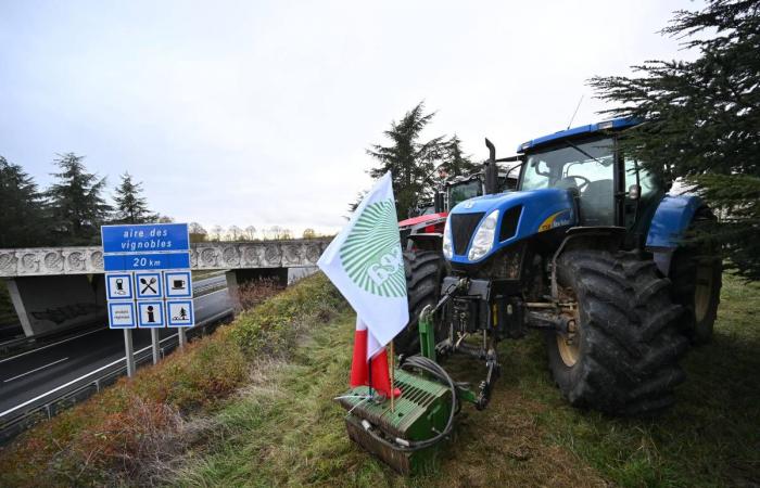 LIVE – Sono previste almeno sei dighe nel dipartimento… Vivi la mobilitazione dei contadini arrabbiati della Nièvre