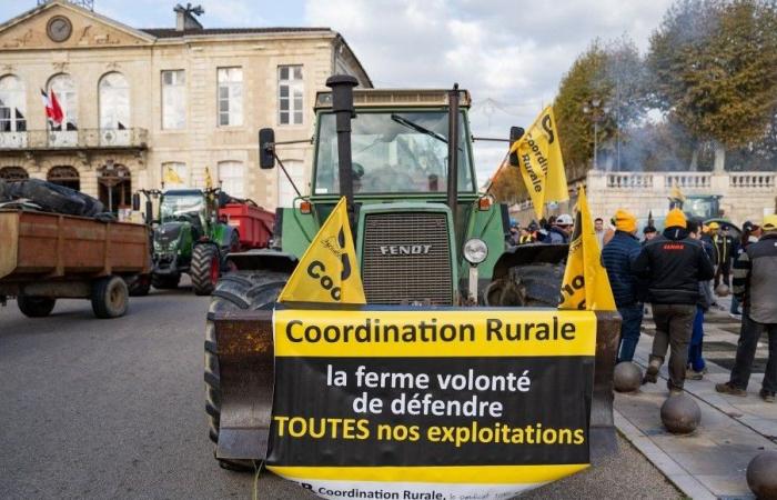 Terzo giorno di manifestazione agricola, con lo sfondo delle elezioni alla Camera dell’Agricoltura