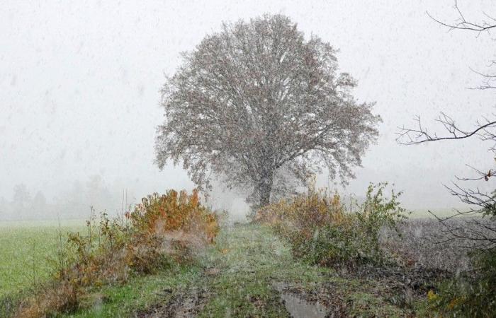 La prima neve produce un tappeto bianco: codice giallo per condizioni scivolose stasera e stasera durante la prima iniezione invernale nelle Fiandre