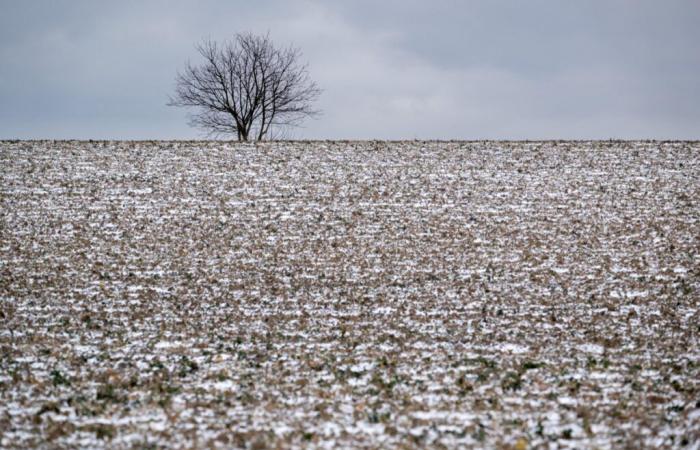 qual è la città più fredda della Francia?