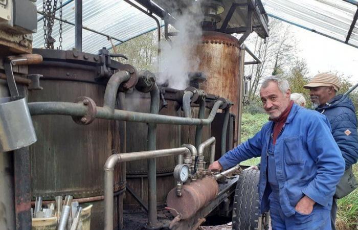 100 candele per l'alambicco di Lilian Fréchet, distilleria itinerante nell'Aveyron occidentale