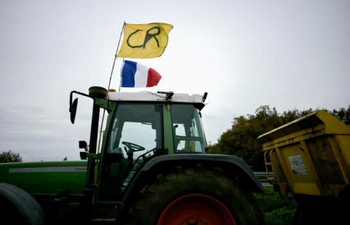 Il 3° giorno di mobilitazione degli agricoltori, vari blocchi e l'appello a proseguire la prossima settimana