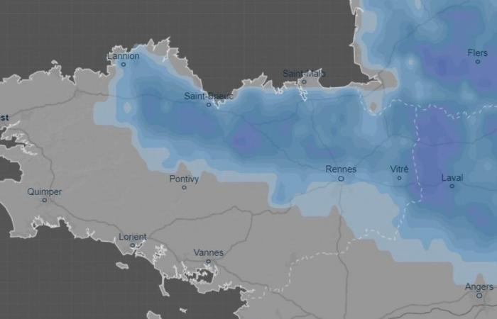 “Fino a 10 cm al suolo”: ecco dove cadrà la neve nell'Ille-et-Vilaine