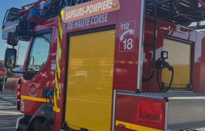 alimentato dal vento, un incendio devasta 20 ettari