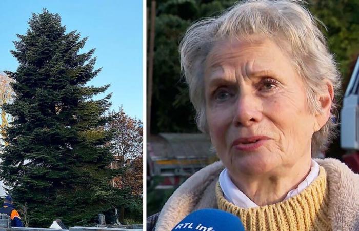 “Un onore e un orgoglio”: con le lacrime agli occhi, Anita ha offerto il suo maestoso albero alla Grand-Place