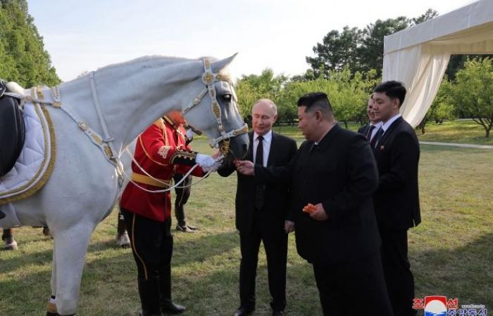 Anatre, orsi, pappagalli e… un leone: lo strano regalo di Vladimir Putin a Kim Jong-un