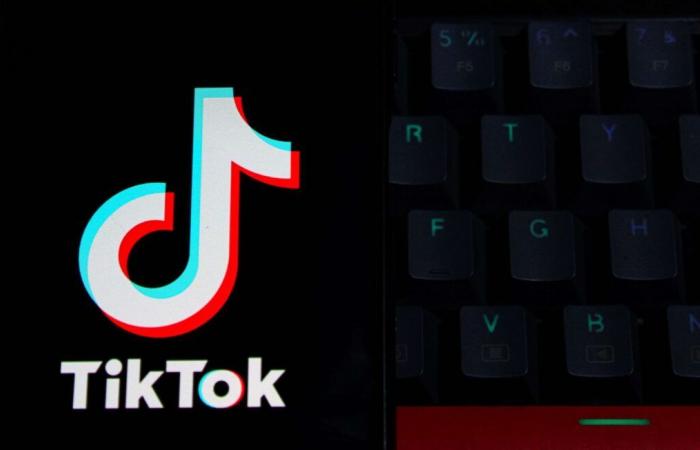 Video su TikTok, proprietario di un bar condannato per violazione della privacy