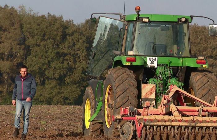 che aiuto forniscono le Camere dipartimentali dell’Agricoltura e qual è il loro ruolo?