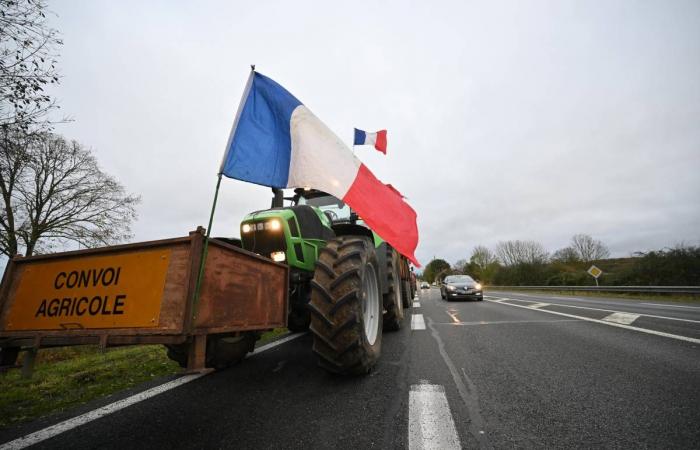 LIVE – Sono previste almeno sei dighe nel dipartimento… Vivi la mobilitazione dei contadini arrabbiati della Nièvre