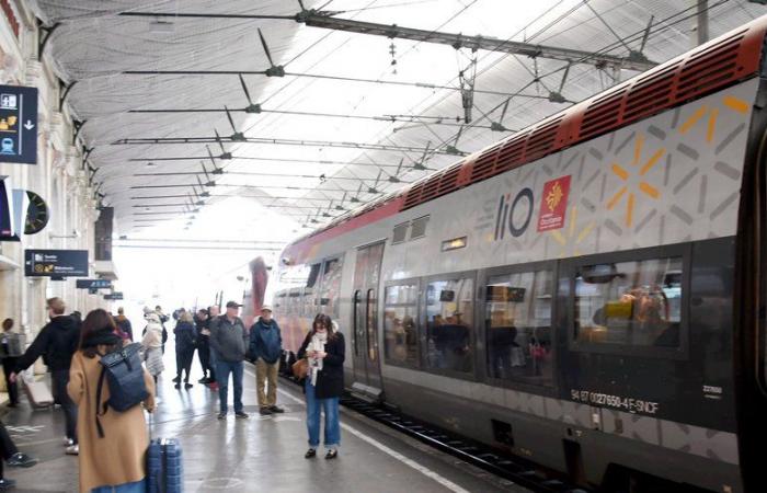 Interrotto per un po' dopo che una persona è stata investita da un treno, il traffico ferroviario tra Narbonne e Perpignan è ripreso