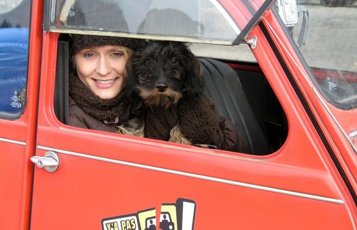 “Non voglio avere rimpianti”: Maureen Louys lascia la RTBF per dedicarsi alla sua passione per gli animali