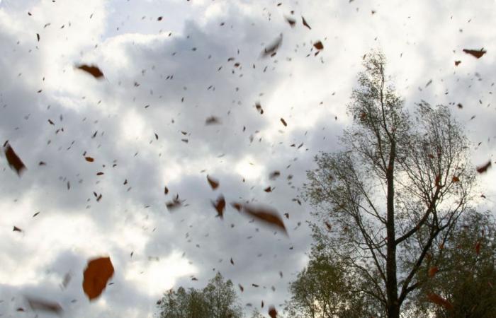 BOLLETTINO METEO. Allerta per venti violenti, raffiche fino a 120 km/h, traffico SNCF interrotto giovedì in Nuova Aquitania