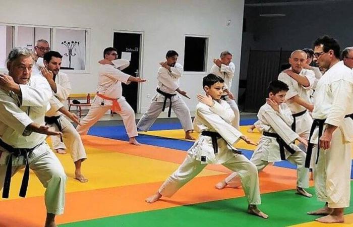 Moncé-en-Belin. Buon inizio di stagione al Karate Club