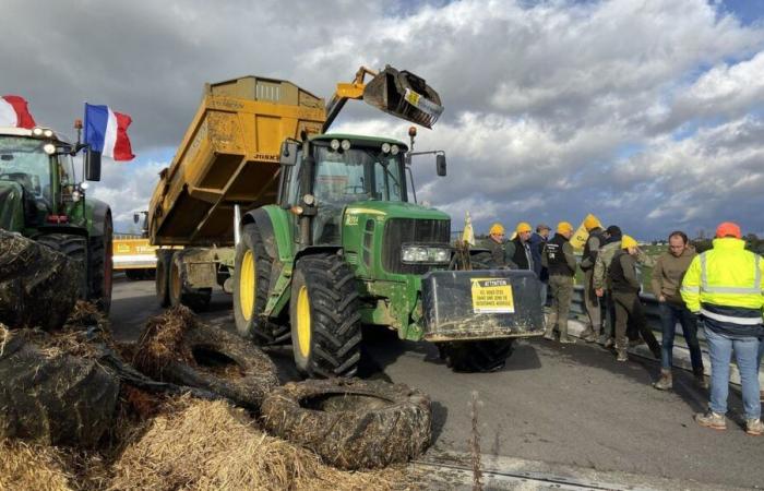 La rabbia degli agricoltori: il Coordinamento rurale della Costa d'Oro prevede di “bloccare il Parlamento europeo” lunedì