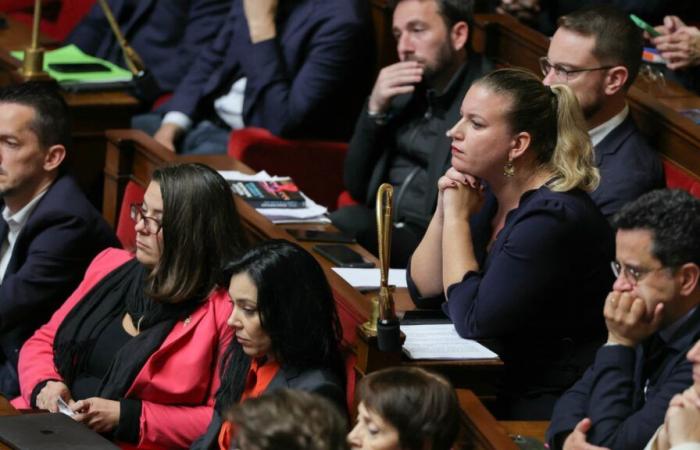 La France insoumise ottiene in seno all'Assemblea la creazione di un gruppo d'amicizia franco-palestinese