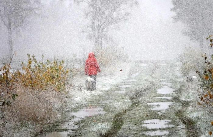 La prima neve produce un tappeto bianco: codice giallo per condizioni scivolose stasera e stasera durante la prima iniezione invernale nelle Fiandre