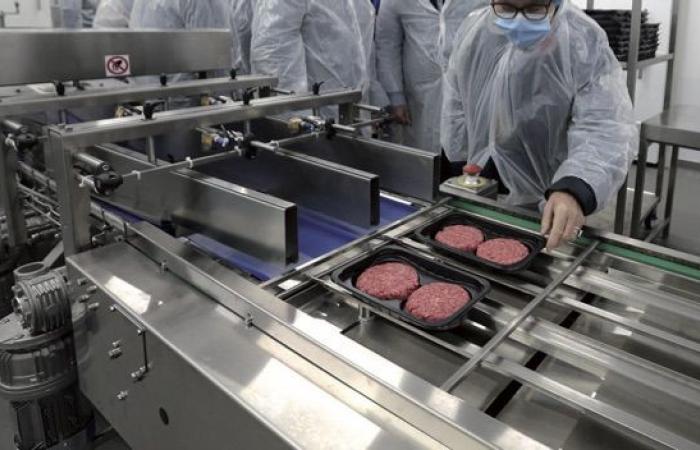 Gli Abdelmoula investono nella lavorazione della carne nel Parco di Tétouan