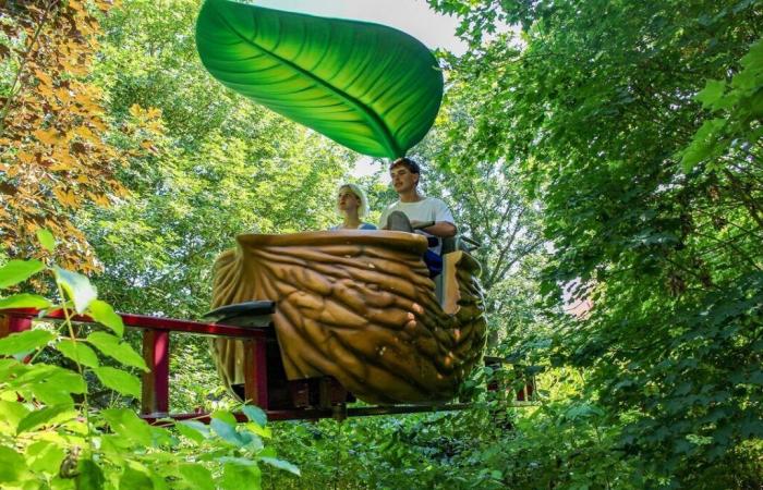 Maine-et-Loire. L'operatore privato Lopping rileva Terra Botanica