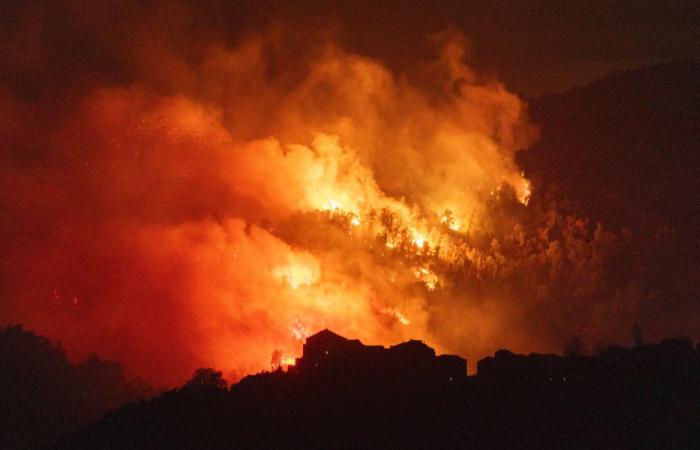 Una ventina di ettari bruciati in un incendio spinto dai violenti venti in località Pietra di Verde