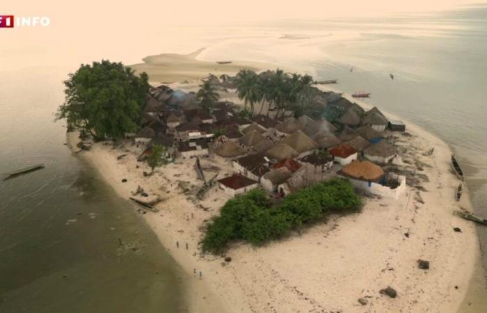 Riscaldamento globale: al largo della costa della Sierra Leone, quest’isola è destinata a scomparire