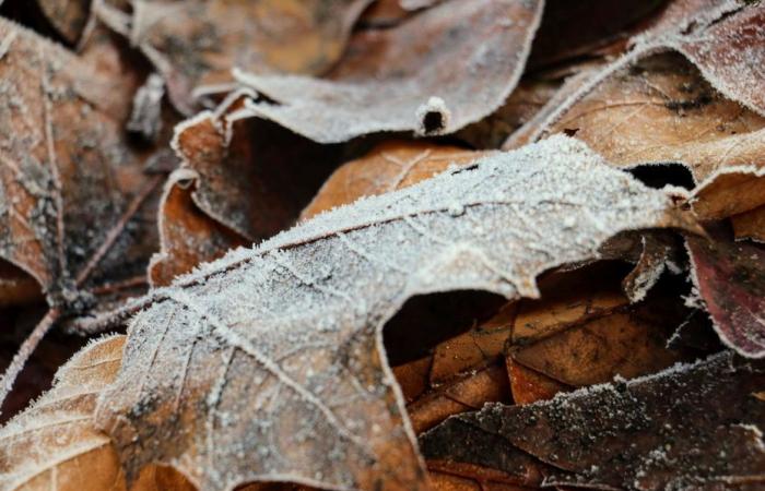 Bollettino meteorologico. Com'è il tempo questo mercoledì, 20 novembre in Alta Francia?