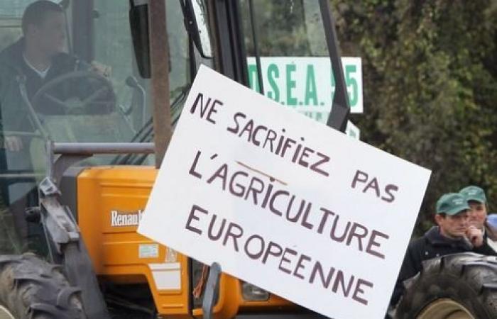 Smettiamola di prendere i nostri agricoltori per idioti