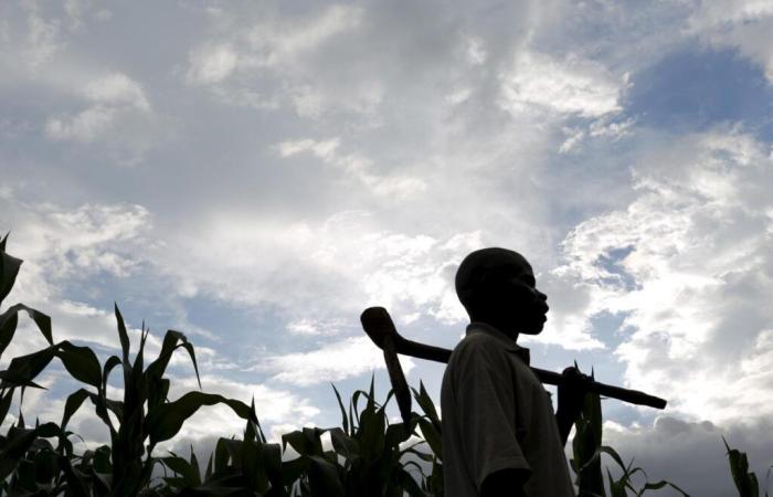 In Malawi i candidati all’emigrazione in Israele mostrano la loro insofferenza