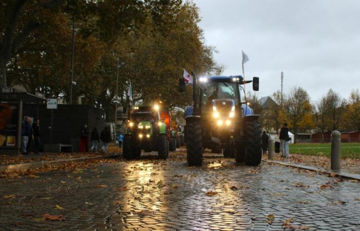 una manifestazione pacifica di agricoltori