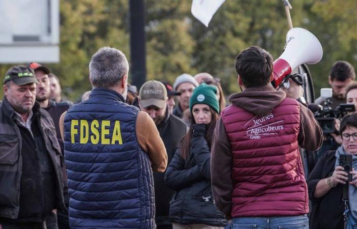 DIRETTO. La rabbia degli agricoltori: firma dell'accordo di libero scambio, blocchi in Occitania… seguono la giornata di mobilitazione