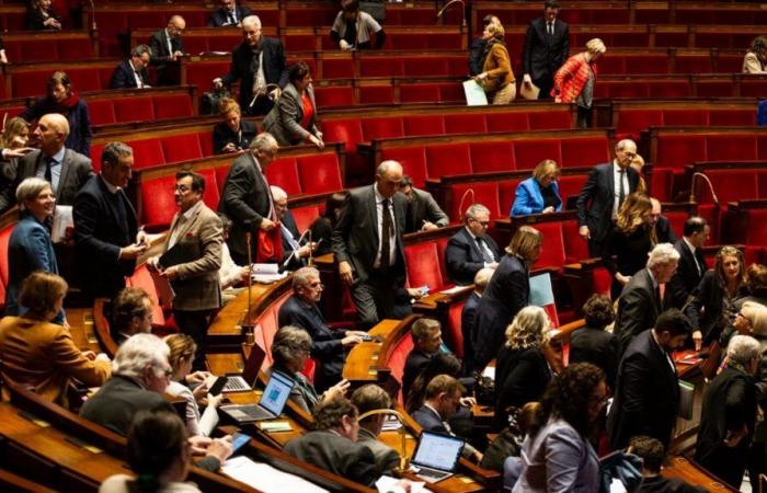 I deputati approvano in commissione un disegno di legge della France insoumise